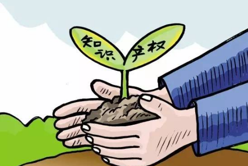 100萬(wàn)美金！上海自貿(mào)區(qū)誕生全國(guó)保費(fèi)最高知識(shí)產(chǎn)權(quán)保單