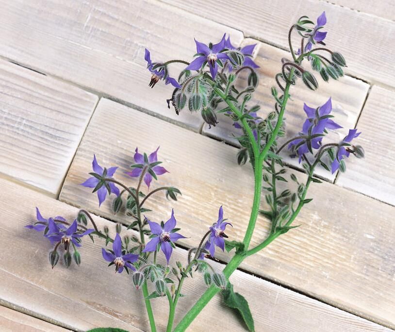 auto_1615.jpg auto_1615.jpg