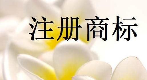 廣州公司注冊(cè)商標(biāo)的費(fèi)用是多少?