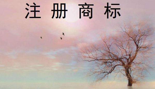 小藍帽侵權了嗎？湖州中院開庭審理一起商標權侵權糾紛案