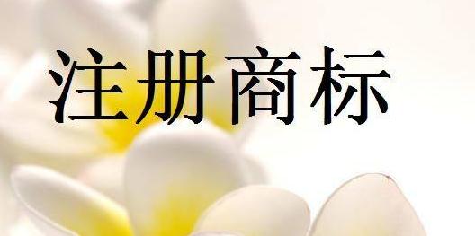 佛山中國馳名商標數量居全國地級市首位