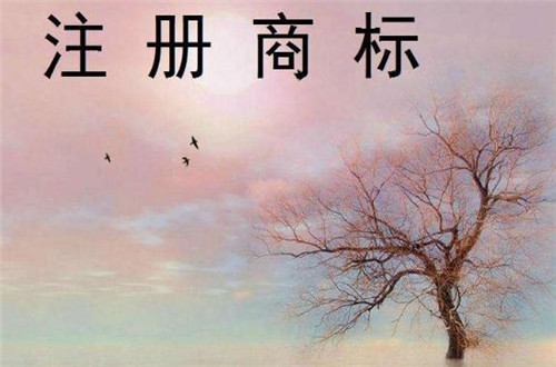 服裝商標注冊多少錢,需要注冊多少個類別的商標