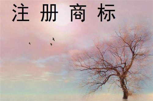 廣州商標注冊代理注意事項