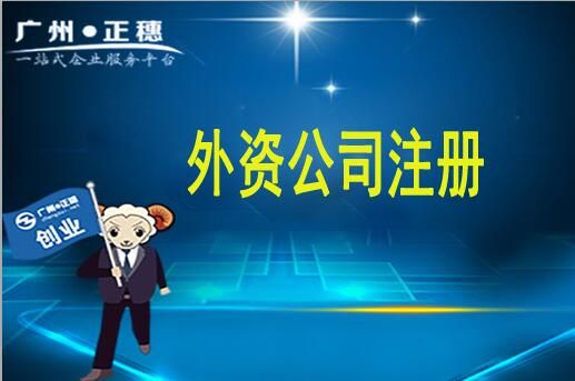 外資公司注冊 外資公司注冊